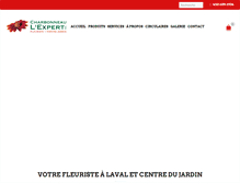 Tablet Screenshot of charbonneaulexpert.com